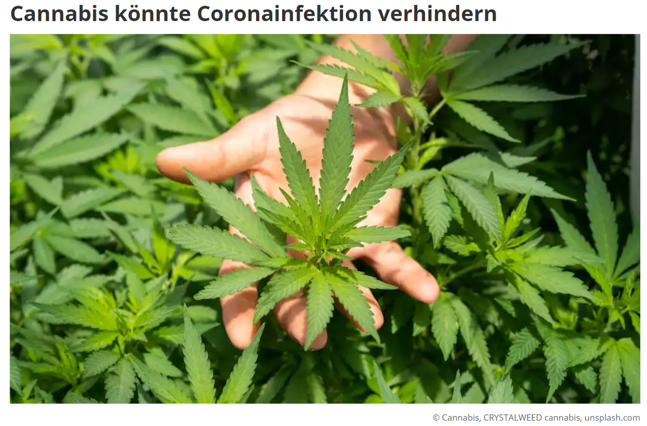 Drogen & Substanzen
